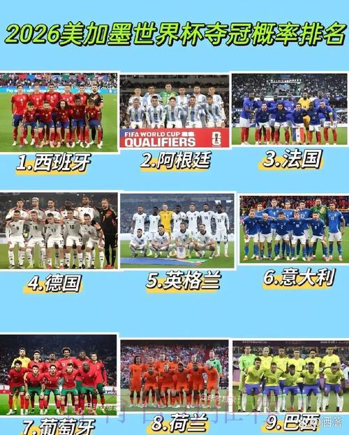 2026年世界杯官方购票安全通道入口